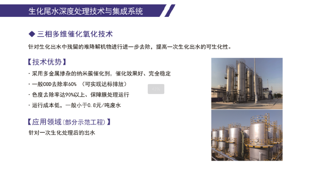 生化尾水深度处理技术与集成系统