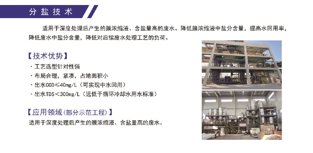 分盐技术