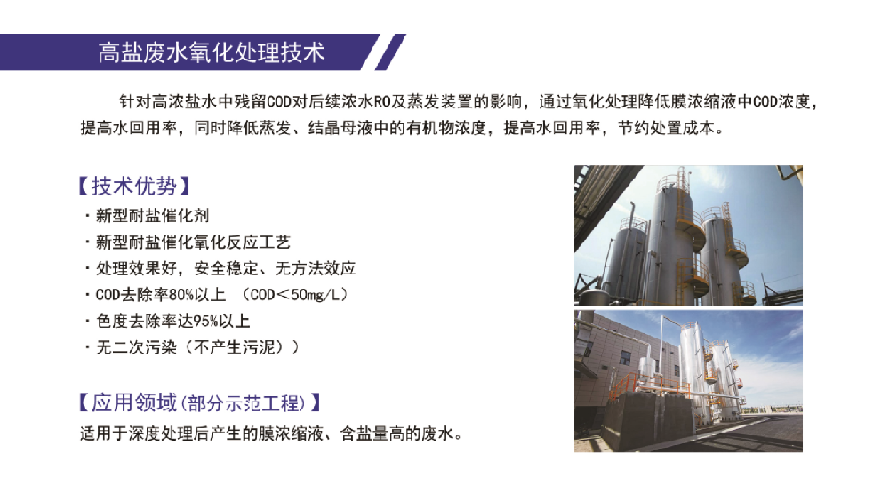 高盐废水氧化处理技术